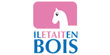 Codes Promo Il était En Bois