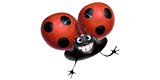 Codes Promo Cadeau-rigolo