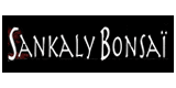 Codes Promo Sankaly bonsai