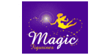 Codes Promo Magic figurines