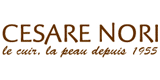 Codes Promo Cesare Nori