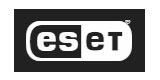 Codes Promo Boutique Eset