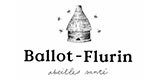 Codes Promo Ballot flurin