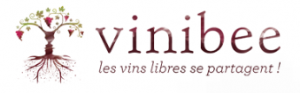 Codes Promo Vinibee