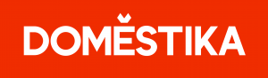Codes Promo DOMESTIKA