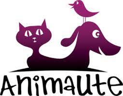 Codes Promo Animaute