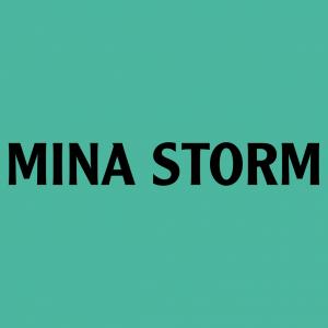 Codes Promo Minastorm