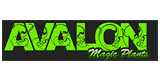 Codes Promo Avalon Magic Plants